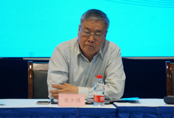 上海市照（zhào）明學會副理（lǐ）事長梁少強