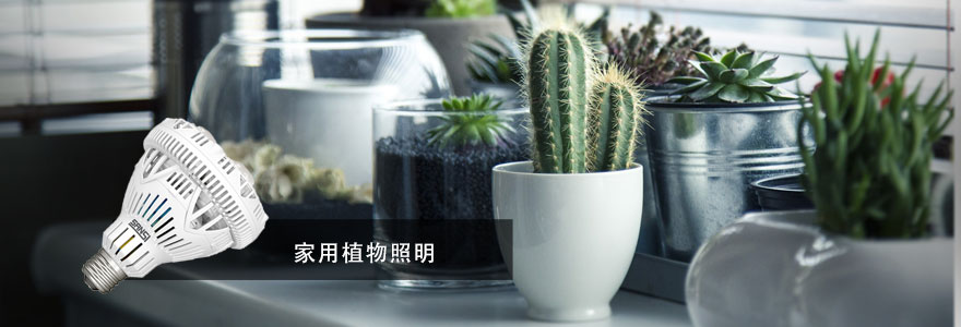 婷婷婷影院·植物照明