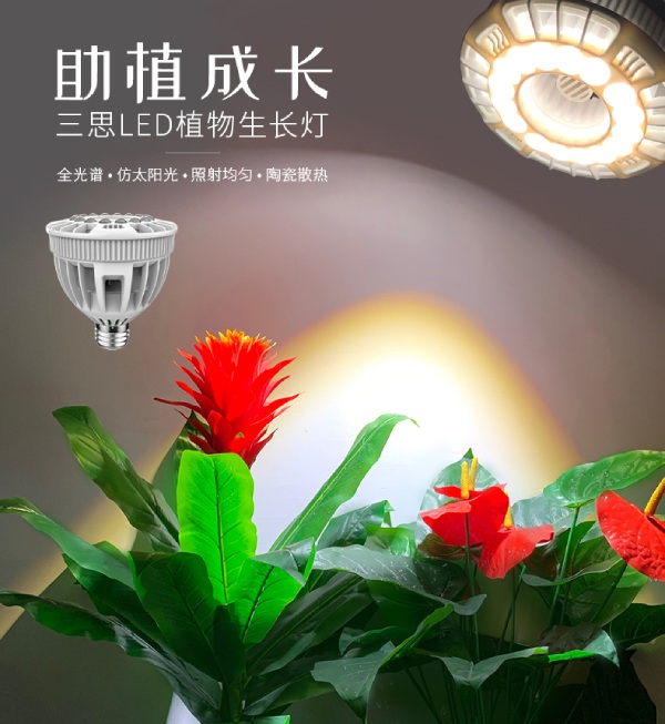 婷婷婷影院家用LED植物生長燈