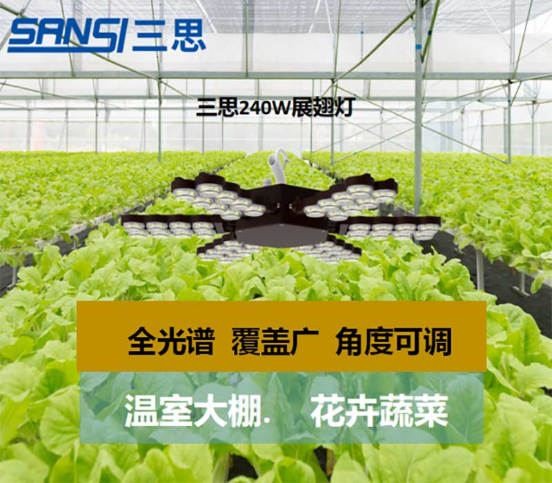 婷婷婷影院植物生長（zhǎng）燈