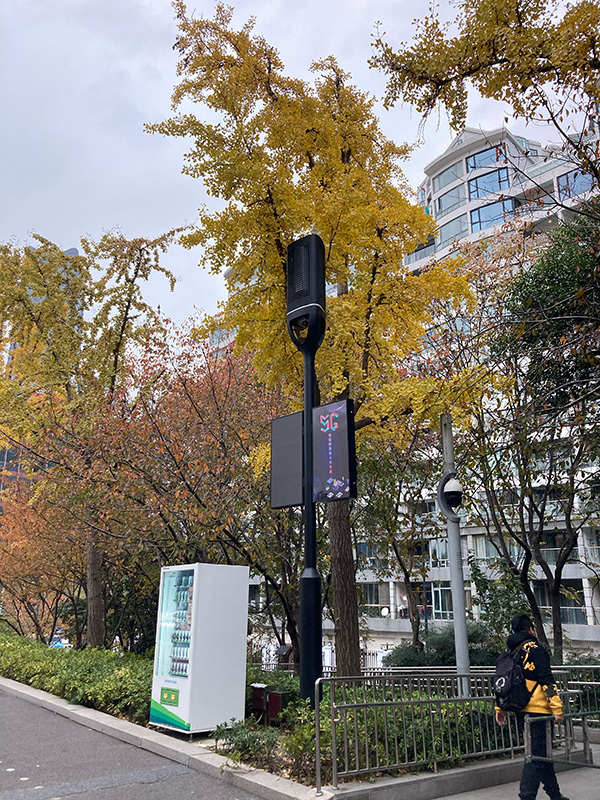 智慧路燈照明為城市公共空間增添（tiān）智慧（huì）元（yuán）素