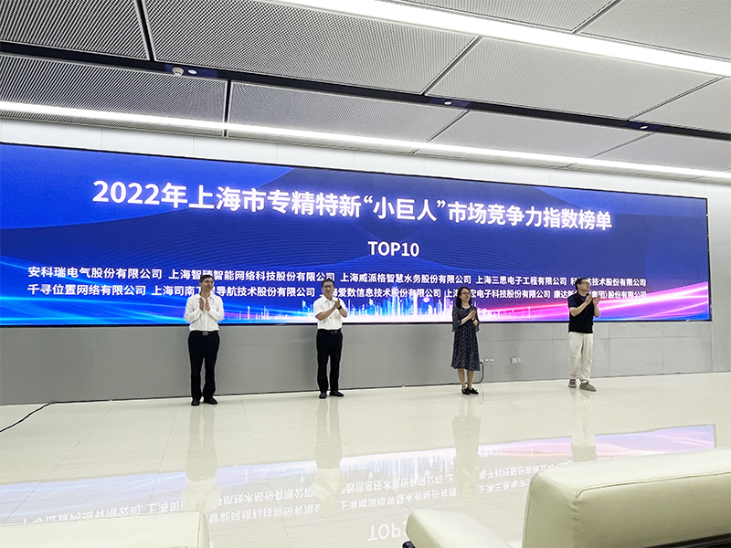 上海市,小巨（jù）人,競爭力指數榜單發（fā）布,婷婷婷影院,居全市總榜第四,分項NO.1