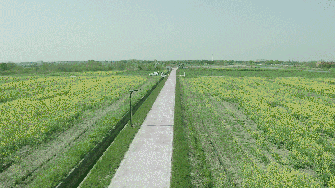 昆山之鏈,美麗鄉村,LED路燈,道路照明,上海婷婷婷影院
