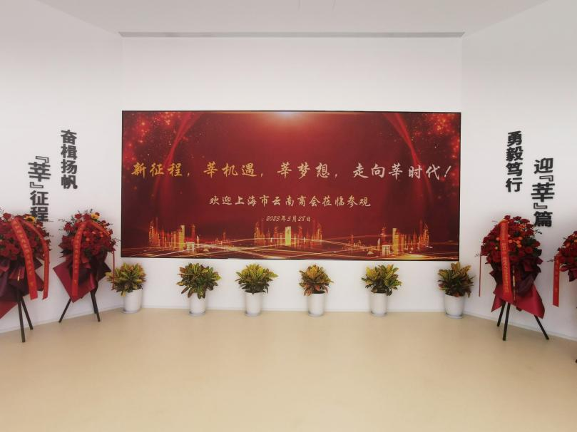 三（sān）思,智慧顯示,助力臨港,莘海（hǎi）科技園,人才體係建設