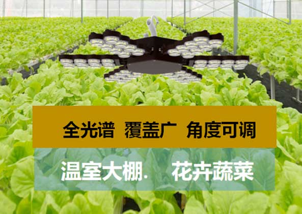 LED顯示屏,LED顯示（shì）屏（píng）廠家,LED照（zhào）明（míng）廠家,照明解決方案,顯（xiǎn）示屏（píng）解決方（fāng）案